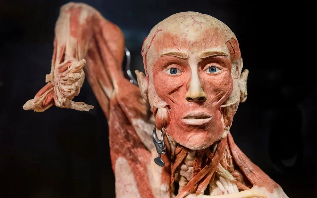 Combo: Body Worlds Amsterdam + Canal Cruise Tickets Image 7