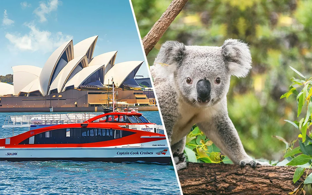 Combo: Captain Cook Cruises 2-Day Hop-On-Hop-Off Cruise + Taronga Zoo Tickets Image 1