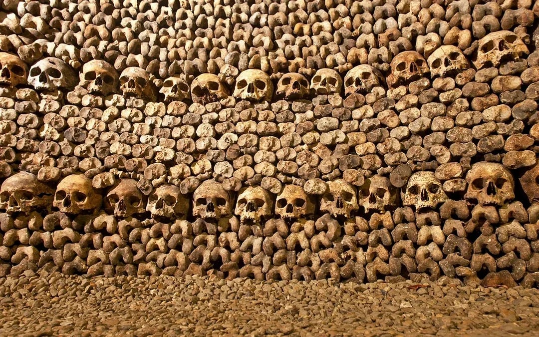 Combo: Catacombs Tickets + Seine River Cruise Image 3