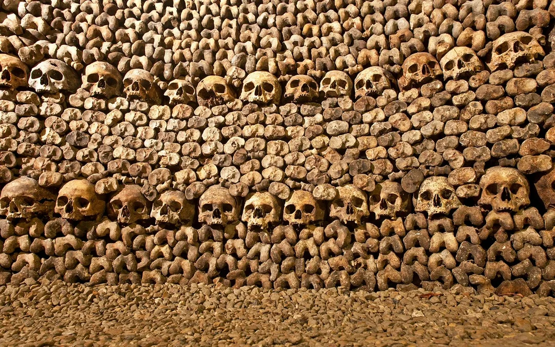 Combo: Catacombs Tickets + Seine River Cruise Image 3