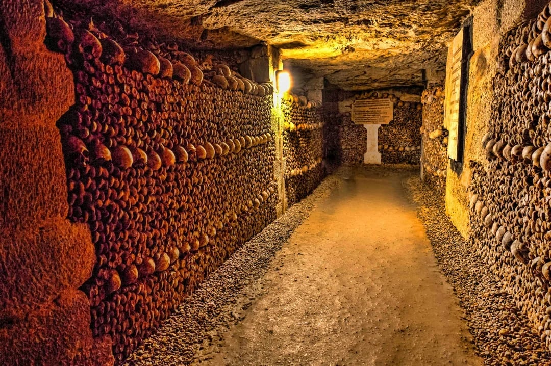 Combo: Catacombs Tickets + Seine River Cruise Image 6