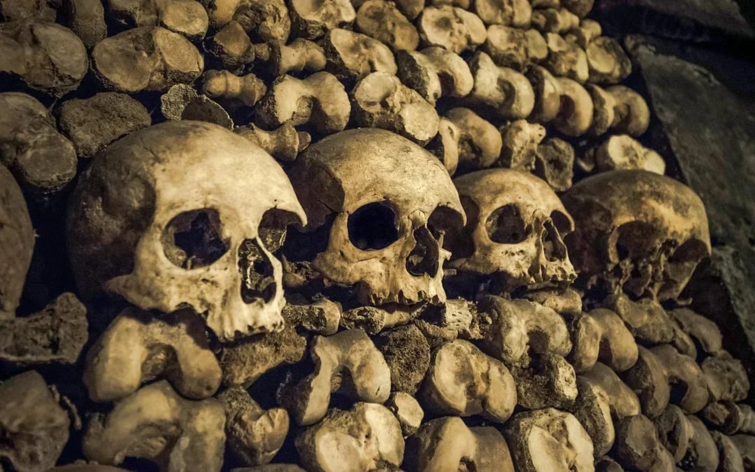 Combo: Catacombs Tickets + Seine River Cruise Image 7