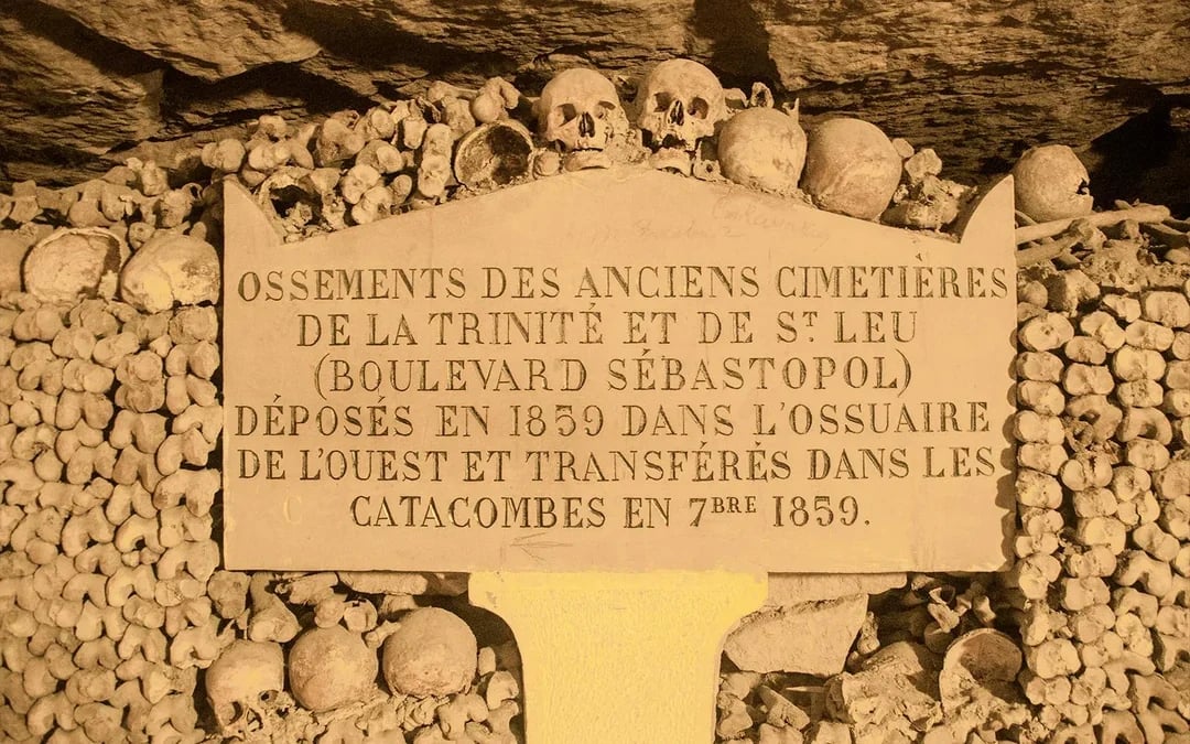 Combo: Catacombs Tickets + Seine River Cruise Image 10