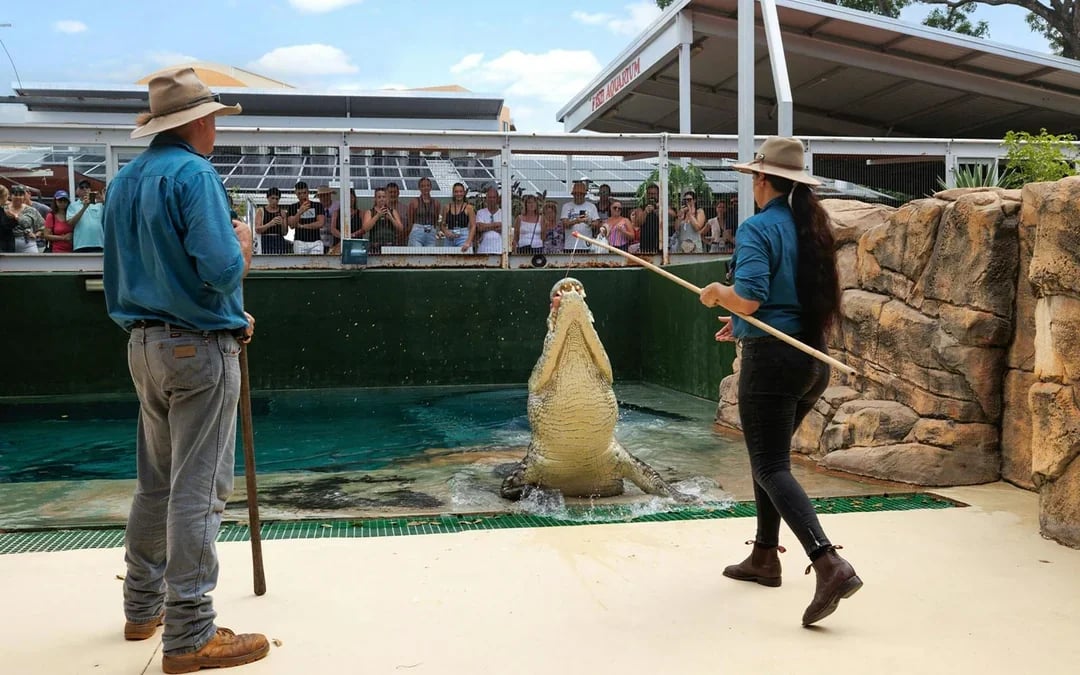 Combo: Crocosaurus Cove + Royal Flying Doctor Service Tickets Image 2