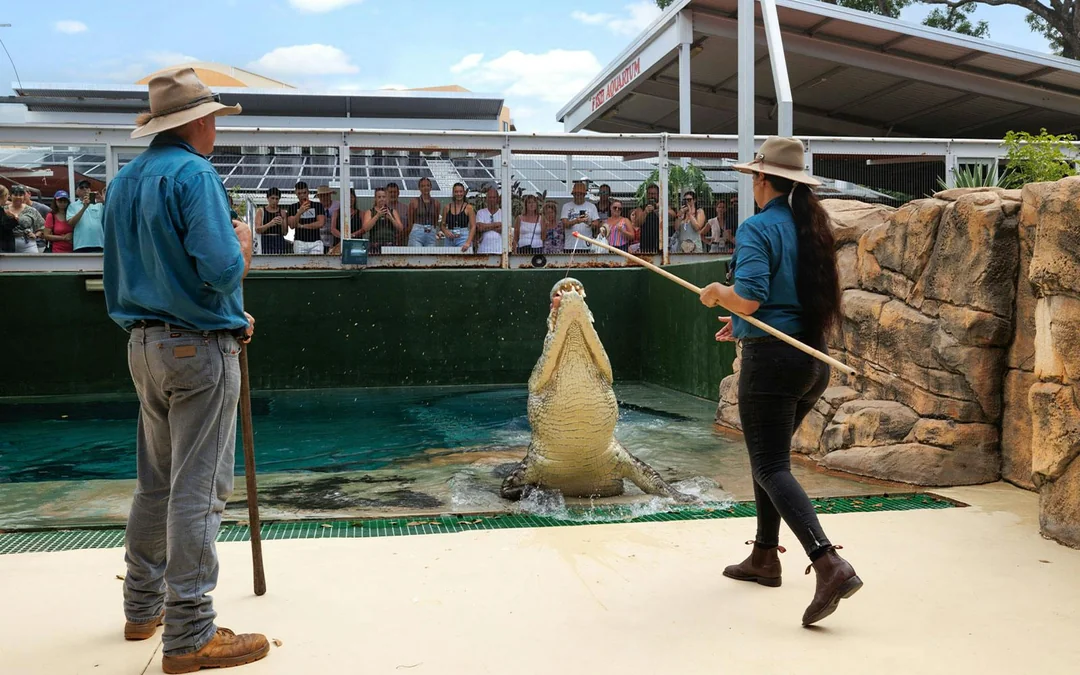 Combo: Crocosaurus Cove + Royal Flying Doctor Service Tickets Image 2