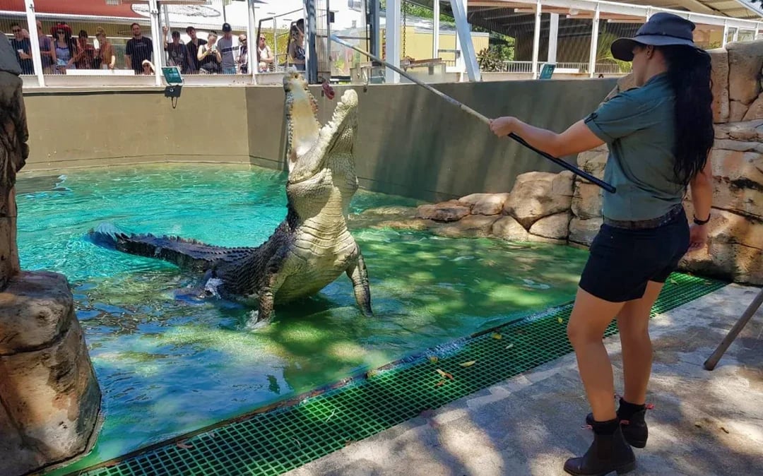 Combo: Crocosaurus Cove + Royal Flying Doctor Service Tickets Image 7