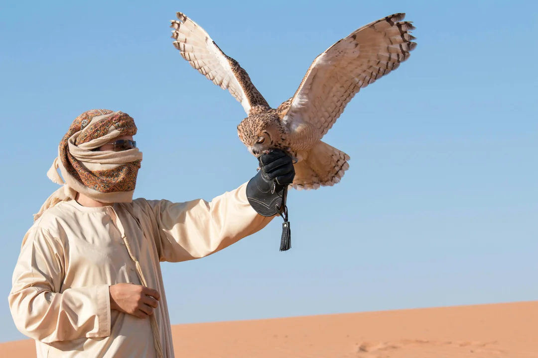 Combo: Dubai Hop-on Hop-off Bus Tour + Desert Safari & Dune Bashing Image 5