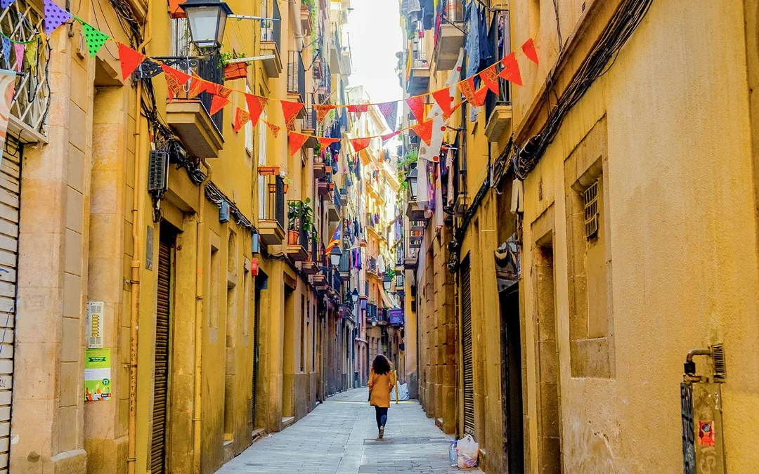 Combo: El Born & Picasso Museum Guided Tour + Moco Museum Barcelona Tickets with Audio Guide Image 1