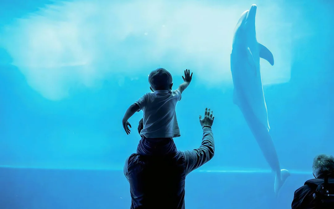 Combo: Genoa Aquarium + Christopher Columbus House Tickets Image 2