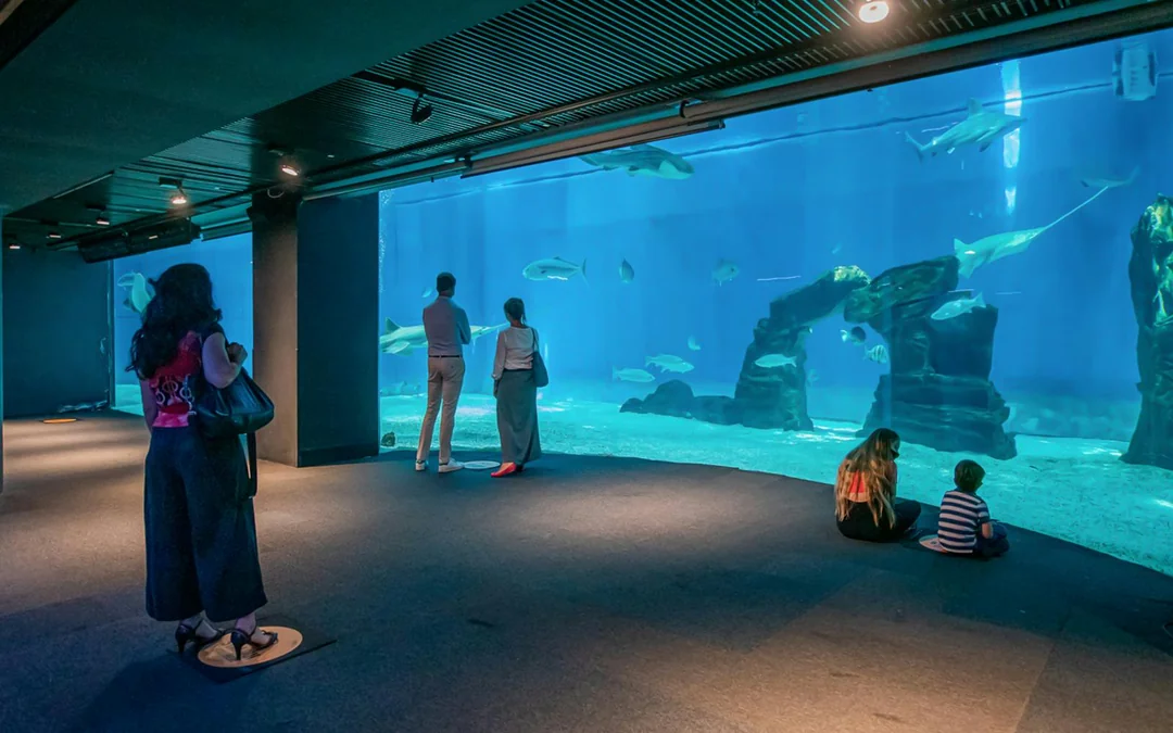 Combo: Genoa Aquarium + Christopher Columbus House Tickets Image 3