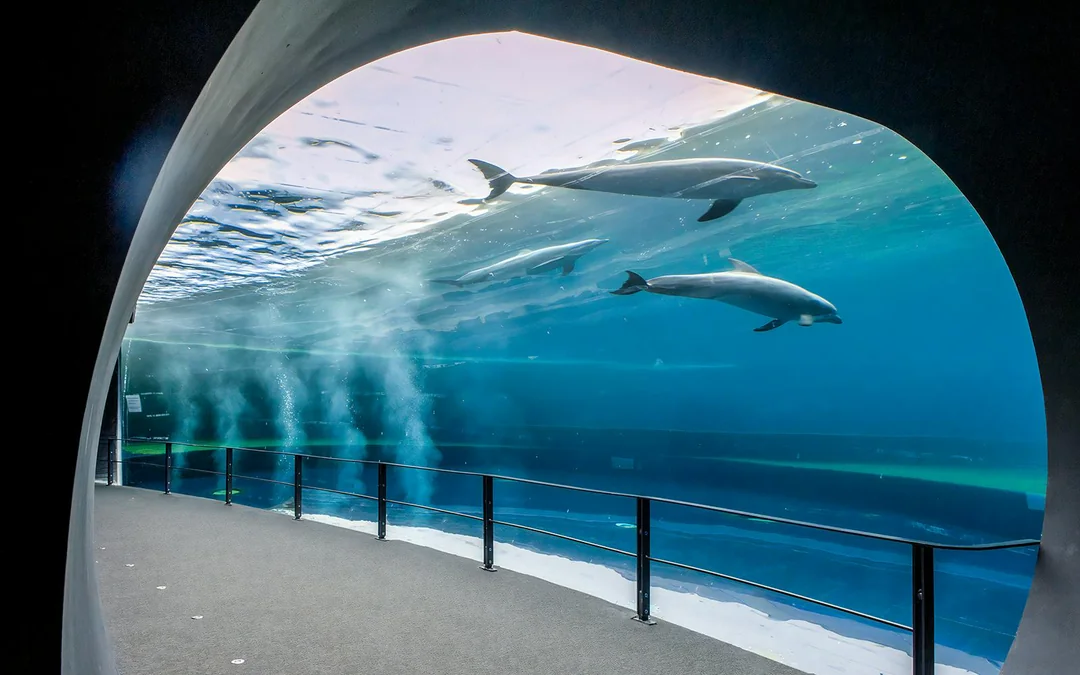 Combo: Genoa Aquarium + Christopher Columbus House Tickets Image 4