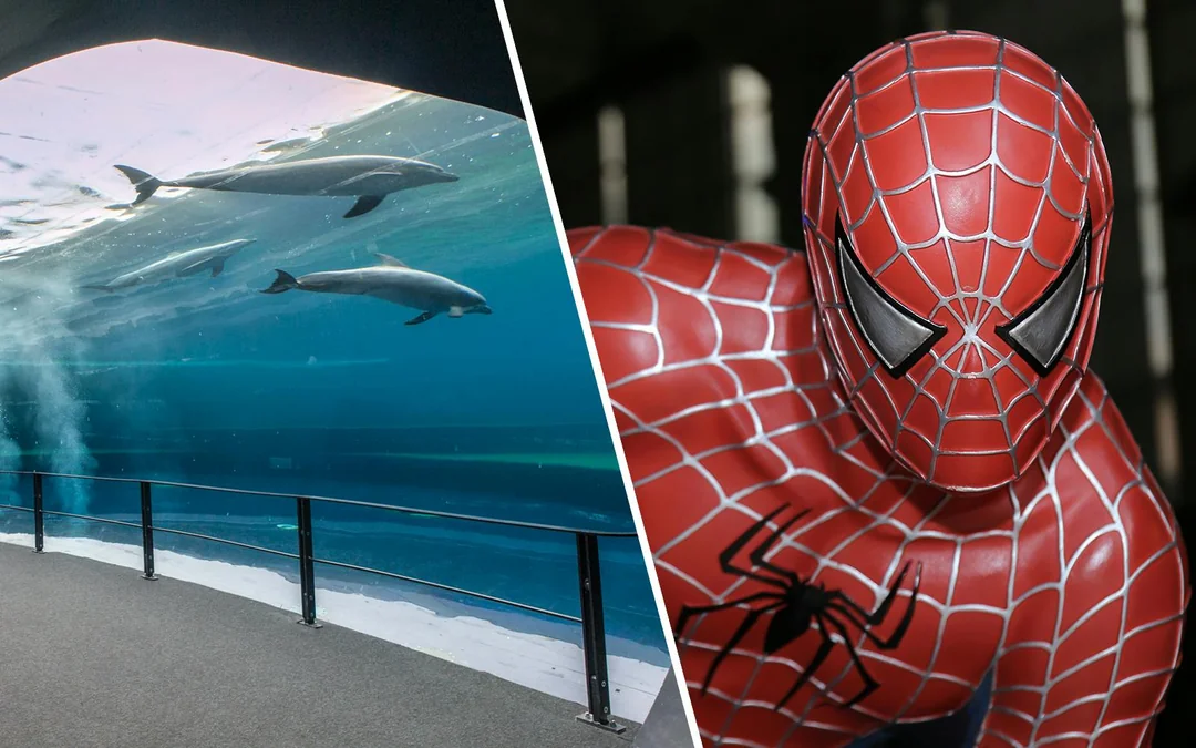 Combo: Genoa Aquarium + FantaCinema Museum Tickets Image 1