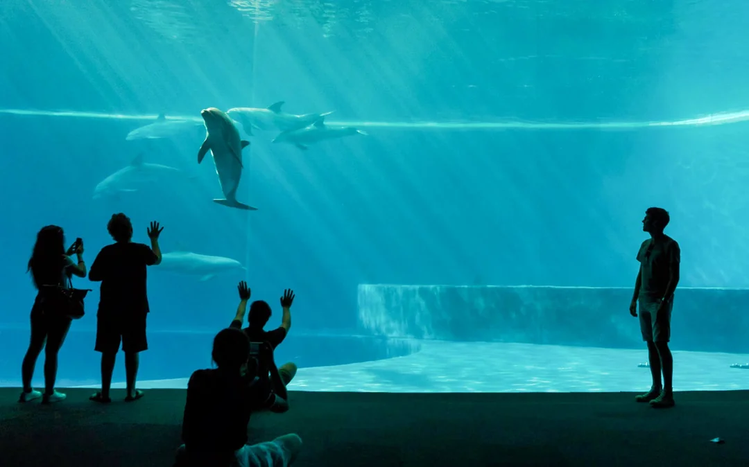 Combo: Genoa Aquarium + FantaCinema Museum Tickets Image 2
