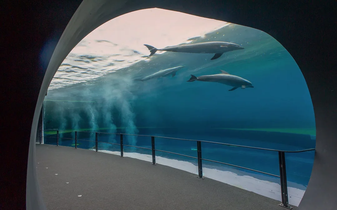 Combo: Genoa Aquarium + FantaCinema Museum Tickets Image 3