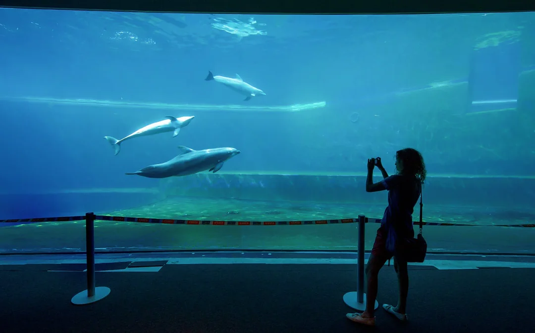 Combo: Genoa Aquarium + Lighthouse of Genoa Tickets Image 2