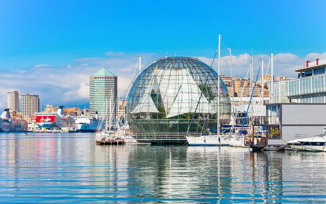 Combo: Genoa Aquarium Tickets + Pelagos Sanctuary Whale Watching Cruise Image 12
