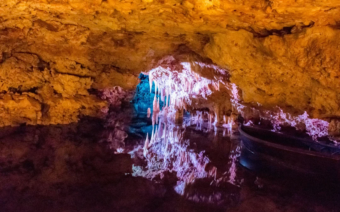 Combo: Hams' Caves + Dinosaurland Tickets Image 9
