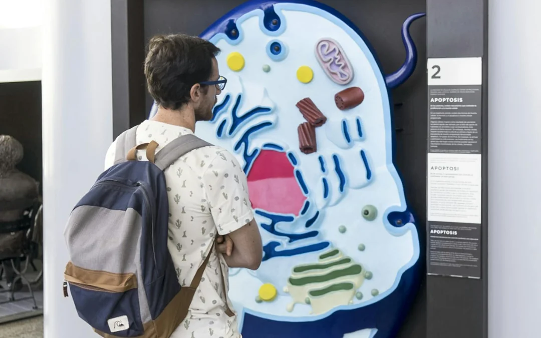 Combo: Hemisfèric + Science Museum Tickets Image 11