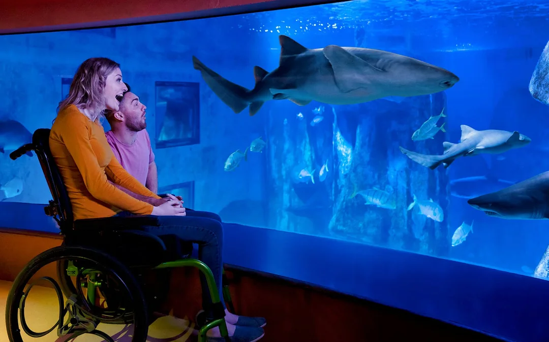 Combo: Madame Tussauds + SEA LIFE London Aquarium Tickets Image 11
