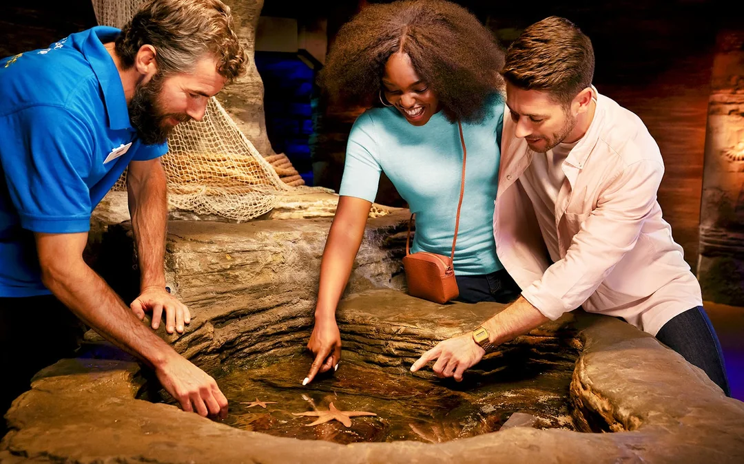 Combo: Madame Tussauds + SEA LIFE London Aquarium Tickets Image 5