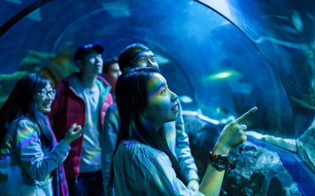 Combo: Madame Tussauds + SEA LIFE London Aquarium Tickets Image 9