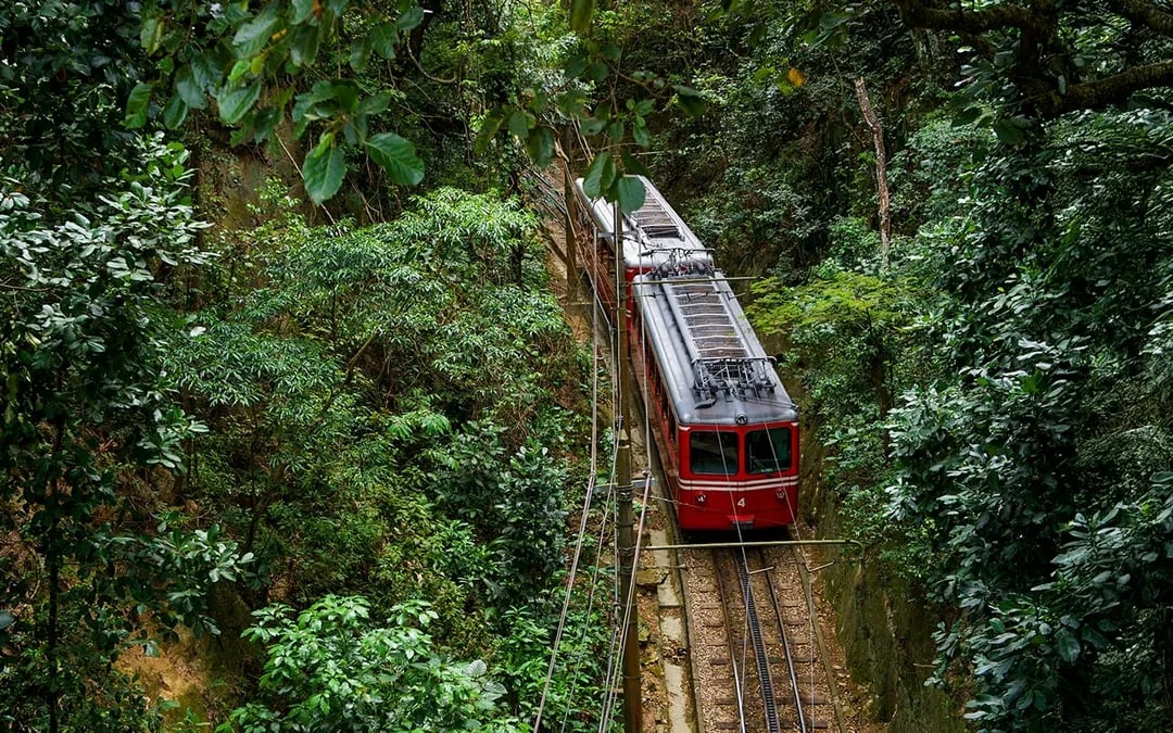 Combo: Maracanã Stadium + Christ the Redeemer by Train Image 10