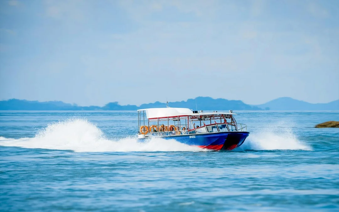Combo: MegaZip Tickets at Mega Adventure Park Sentosa + Singapore Cable Car Sky Pass / Albatross Speedboat Adventures Image 4