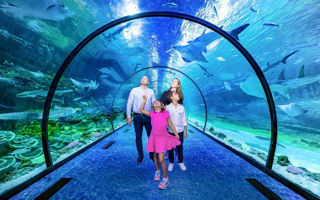 Combo: National Aquarium Abu Dhabi + Al Qana Attractions Image 2