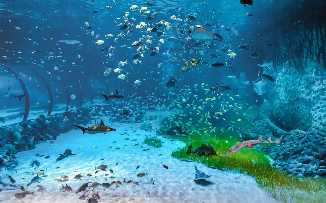 Combo: National Aquarium Abu Dhabi + Al Qana Attractions Image 3