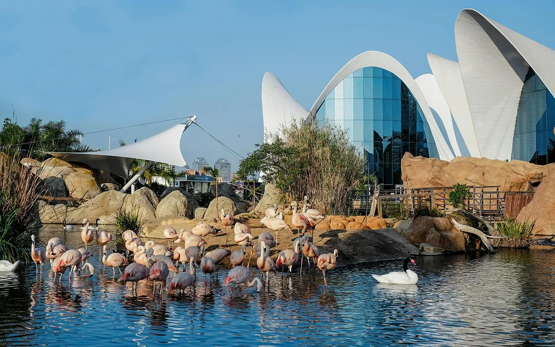 Combo: Oceanogràfic + Science Museum Tickets Image 2