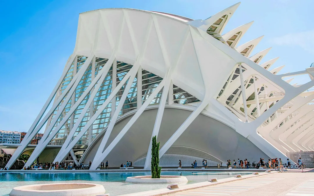 Combo: Oceanogràfic + Science Museum Tickets Image 12
