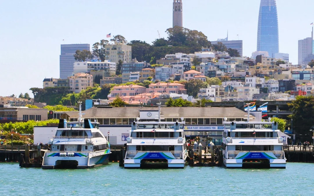 Combo: San Francisco Hop-on Hop-off Bus Tour + Golden Gate Bay & Alcatraz Cruise Tickets Image 5