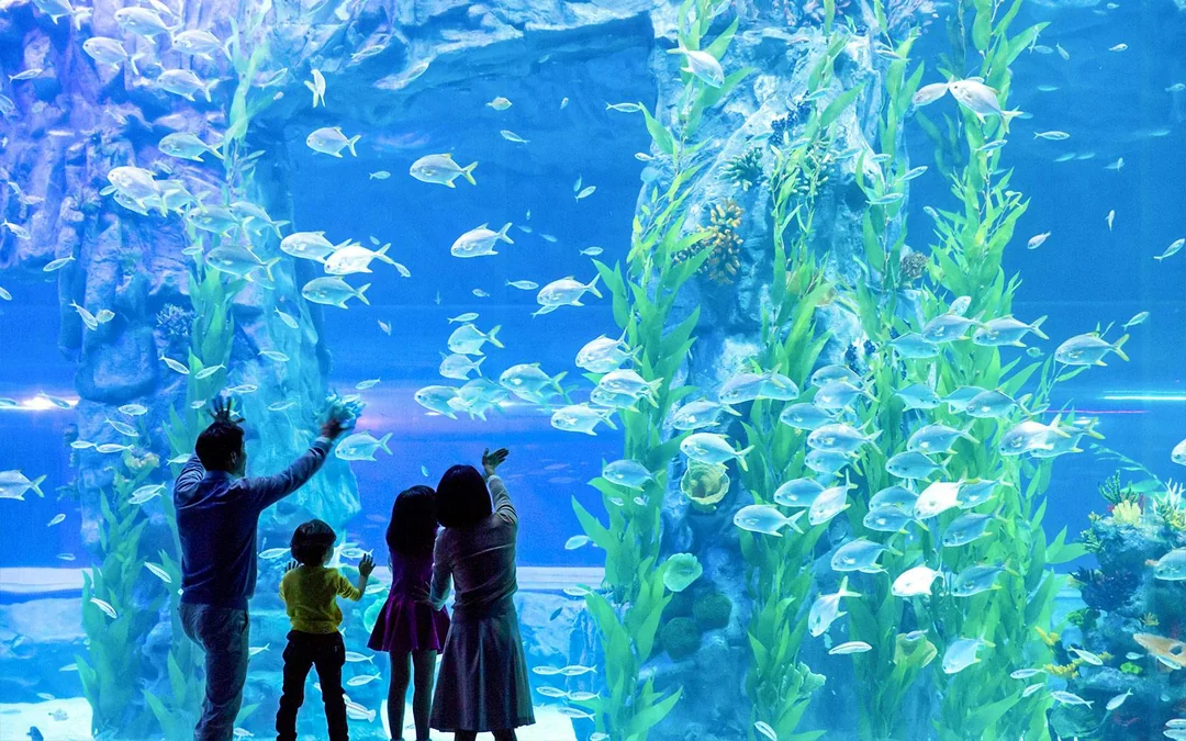 Combo (Save 26%): Lotte World + Seoul Sky Observatory Tickets Image 8