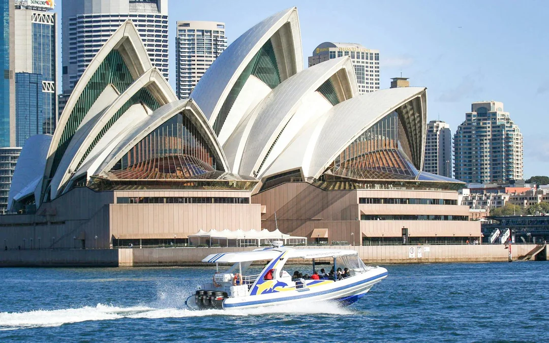 Combo [Save 4%]: Sydney Whale Watching Cruise + Taronga Zoo Tickets Image 3