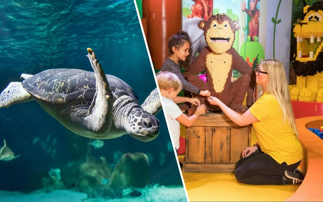 Combo: SEA LIFE & Legoland Discovery Centre Oberhausen Tickets Image 1
