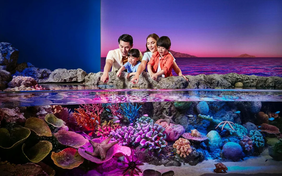 Combo: SEA LIFE Bangkok + Madame Tussauds Bangkok Tickets Image 1