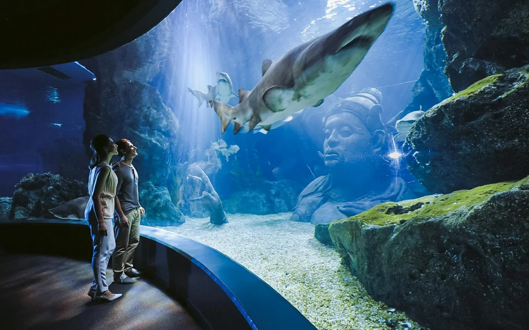 Combo: SEA LIFE Bangkok + Madame Tussauds Bangkok Tickets Image 3