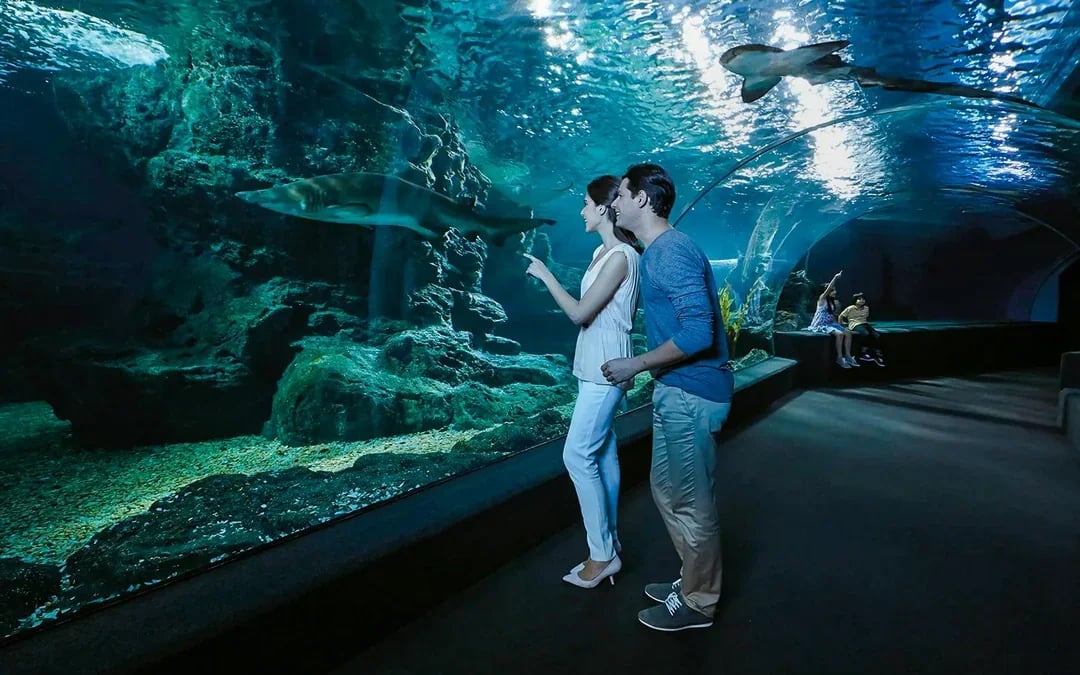 Combo: SEA LIFE Bangkok + Madame Tussauds Bangkok Tickets Image 7