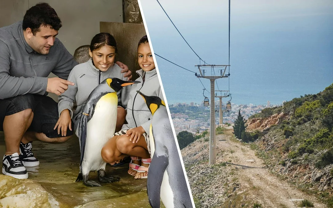 Combo: Selwo Marina + Benalmádena Cable Car Image 1