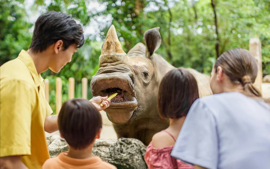 Combo: Singapore Zoo + Exploria Tickets 
 Image 4