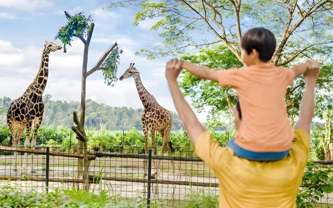Combo: Singapore Zoo + Exploria Tickets 
 Image 10