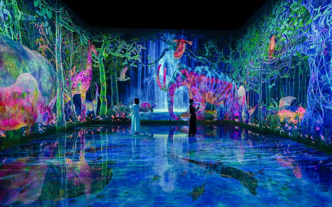 Combo: teamLab Planets Tokyo + Tokyo Observation Decks Tickets Image 2