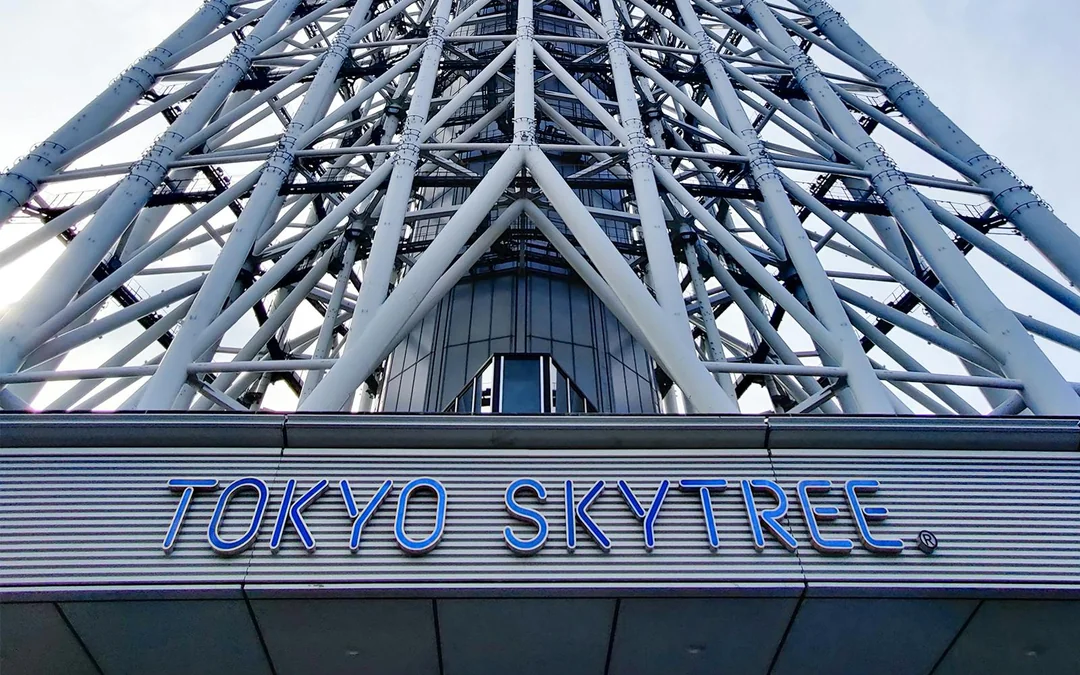 Combo: teamLab Planets Tokyo + Tokyo Observation Decks Tickets Image 12