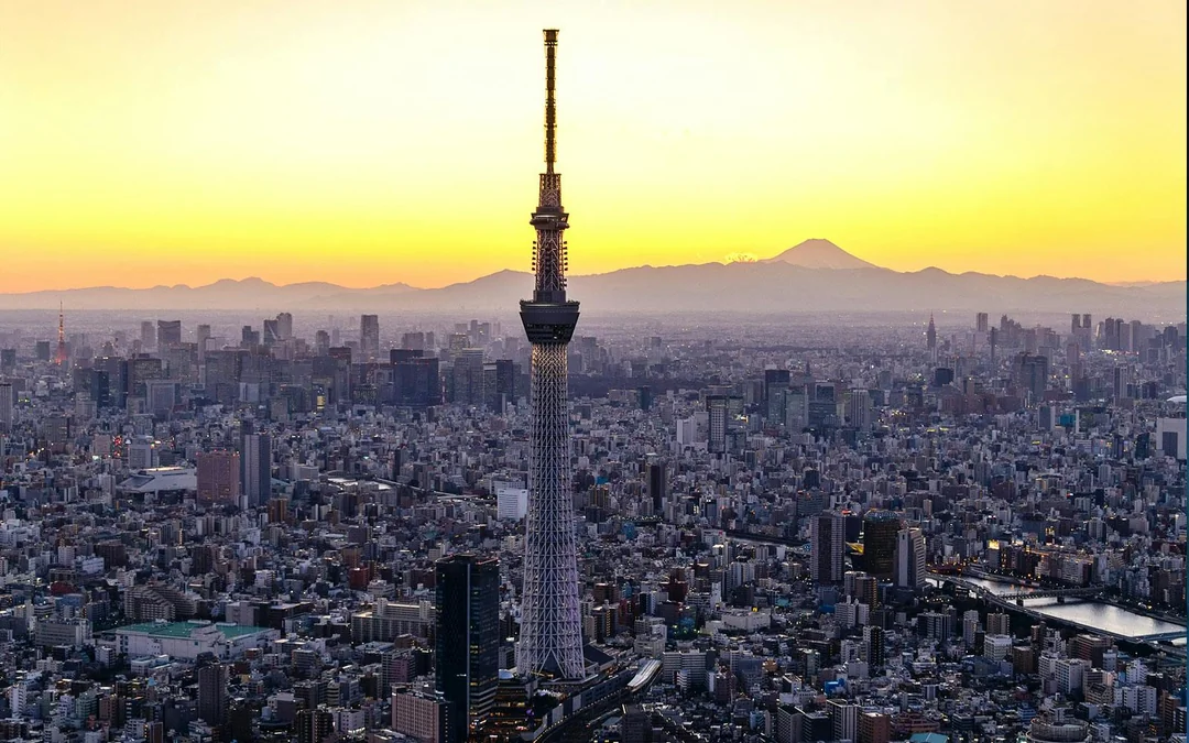 Combo: teamLab Planets Tokyo + Tokyo Observation Decks Tickets Image 4