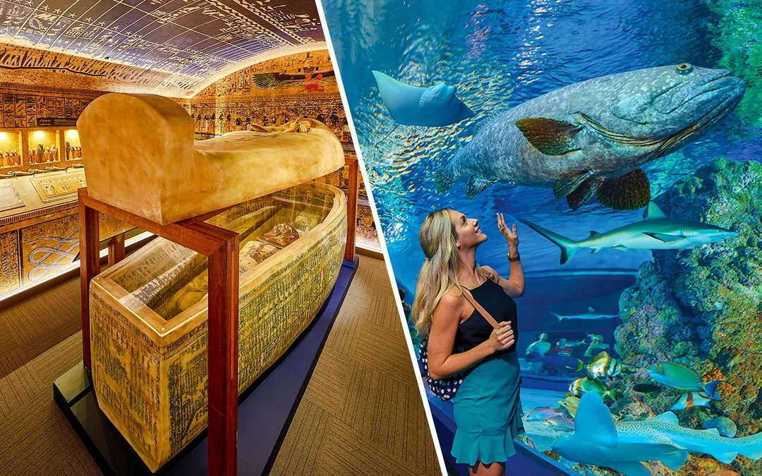 Combo: Tomb of the Pharaohs + Cairns Aquarium Tickets Image 1