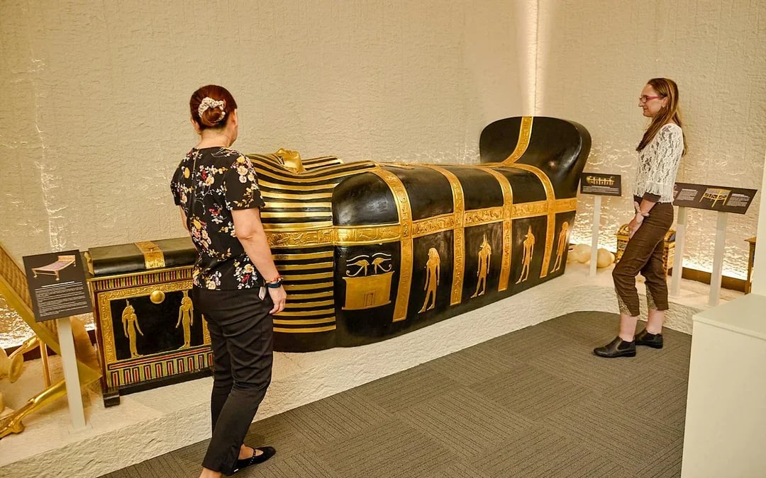 Combo: Tomb of the Pharaohs + Cairns Aquarium Tickets Image 2