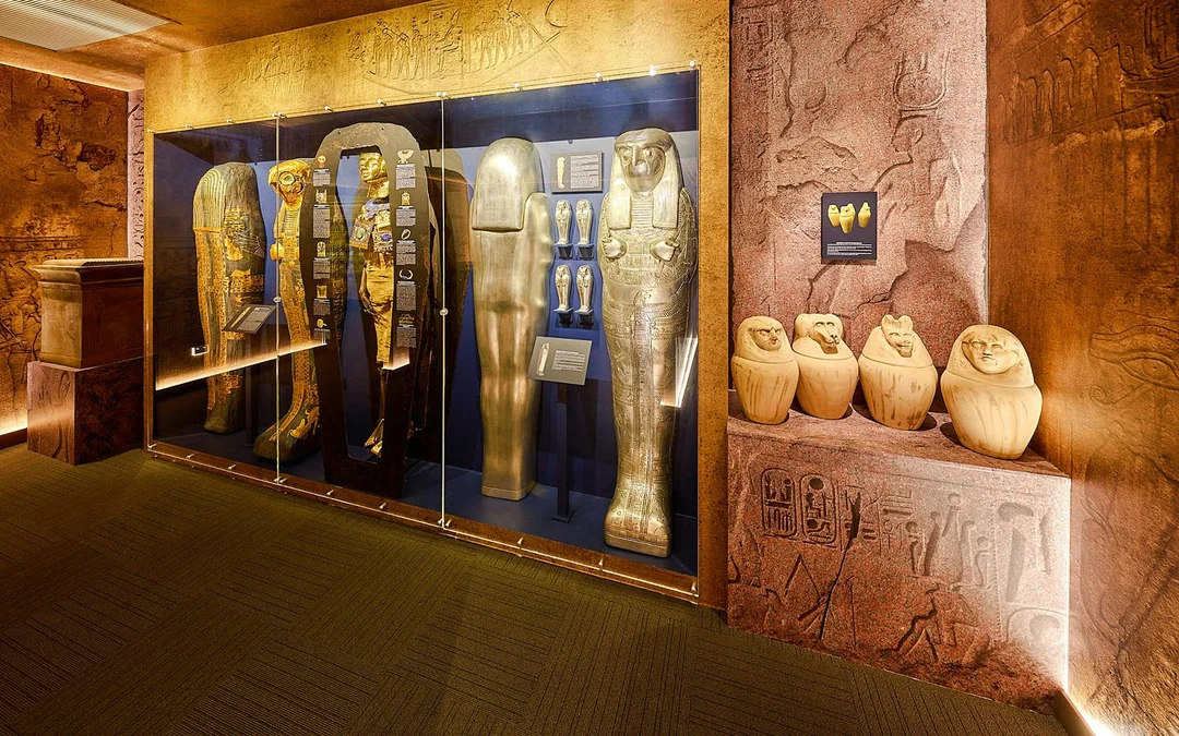 Combo: Tomb of the Pharaohs + Cairns Aquarium Tickets Image 3