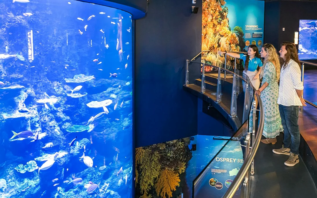Combo: Tomb of the Pharaohs + Cairns Aquarium Tickets Image 5