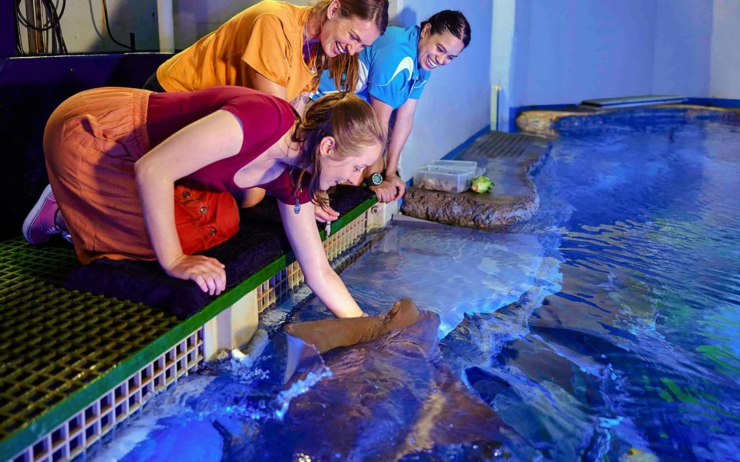 Combo: Tomb of the Pharaohs + Cairns Aquarium Tickets Image 10