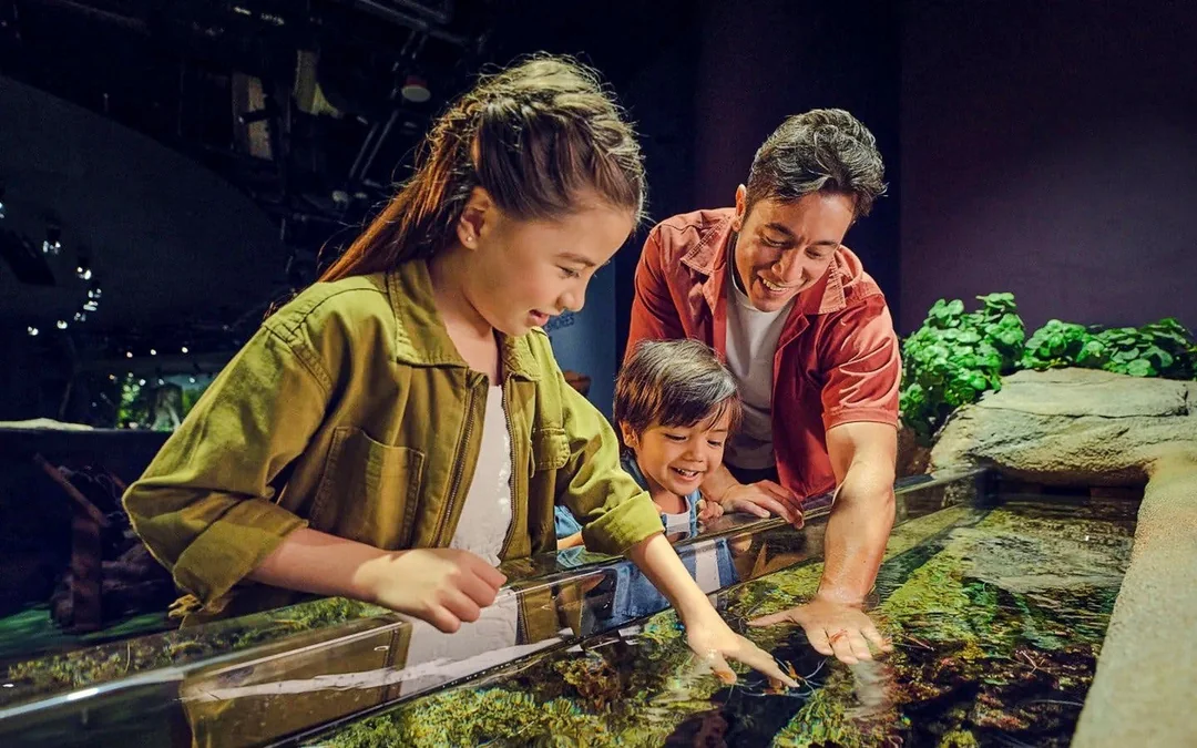 Combo: Universal Studios Singapore + Singapore Oceanarium + Adventure Cove Waterpark Tickets Image 2